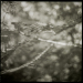 Carriere Abstract 2 