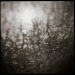 Window Abstract