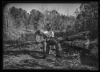 Cedric Burnside (Cover for Grammy Award Winning \"I Be Tryin\", 2020